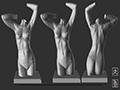 Female Torso